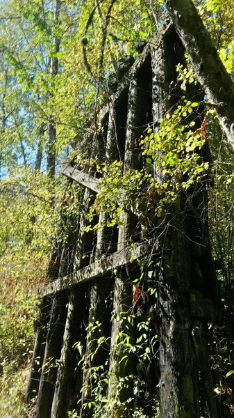 Remnants of the Past can be seen from the Whatcom Creek area.