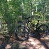 Old cemetery off Centerline Trail.