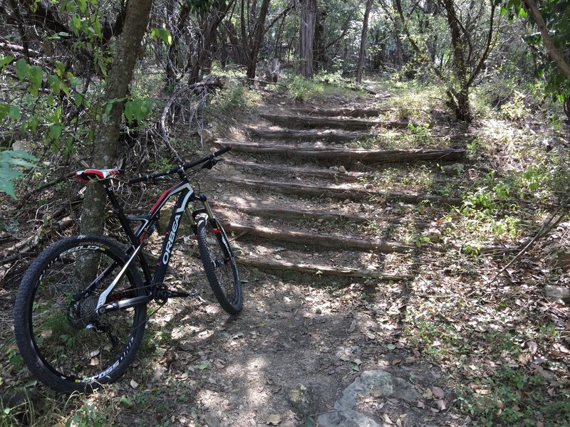 Stairs can present a hazard on the Village Trail