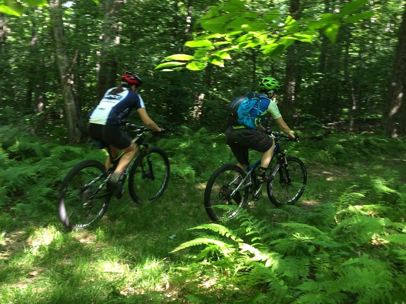 Riding the Redfield Trails