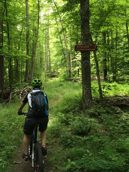 Riding on the Carriage Trail near Resting Brook.