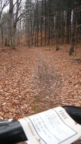 Climbing Combs Rd.