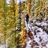 Fresh snow on the Angles Trail in mid-September. Photo: ©Donni Reddington