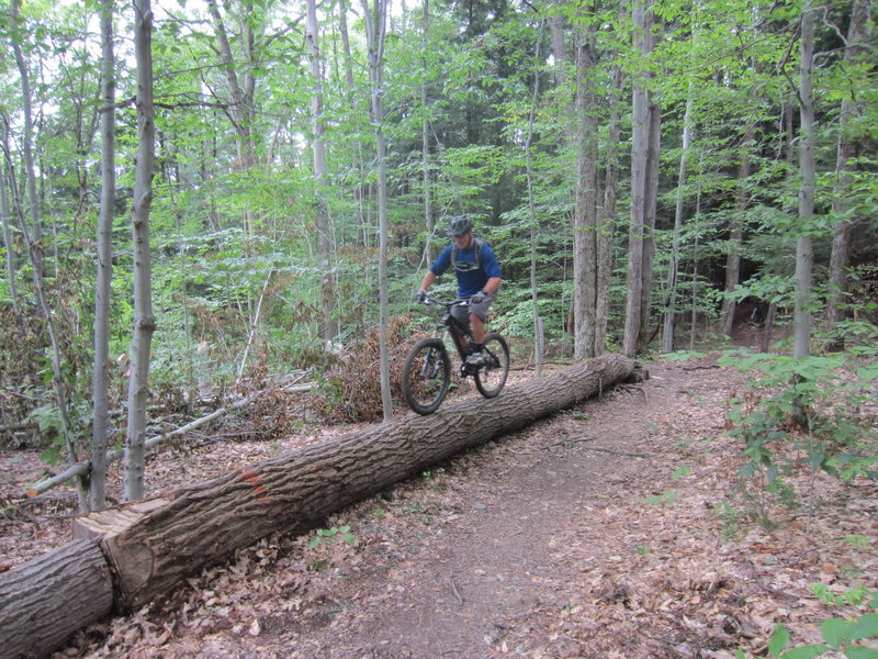 Log ride feature on Blue #4.