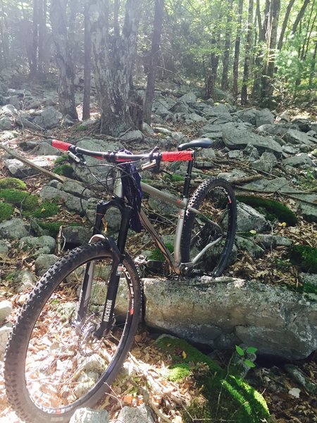 Taking a break on Wildcat Gap