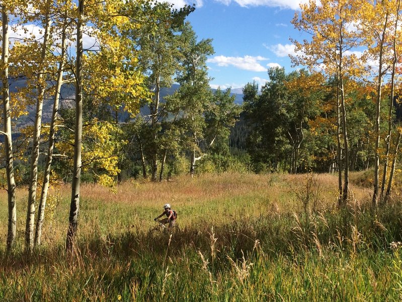 Cruising up Meadow Mountain in the fall.