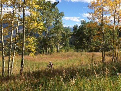 Cruising up Meadow Mountain in the fall.