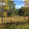 Cruising up Meadow Mountain in the fall.