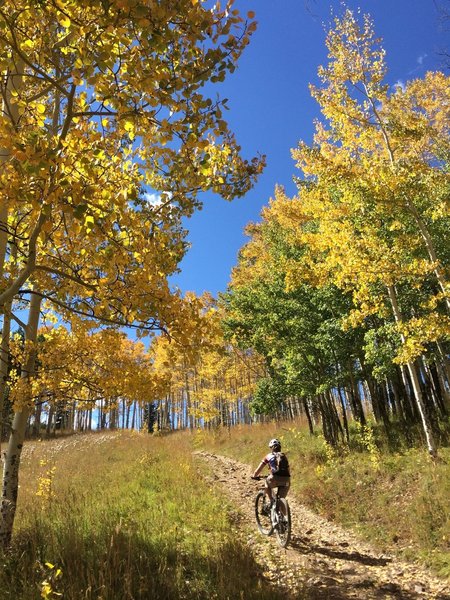 Finishing the climb up Meadow Mountain.