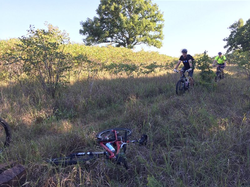 Lots of grass trails on the East side...your other option is rocks in the wooded areas.