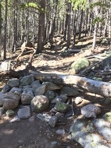 So many of these, really destroy the flow of the descent.