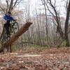 Graydon riding the teeter.