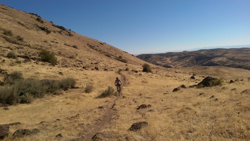 Picking through the rocks