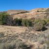 A strange pond in the foothills