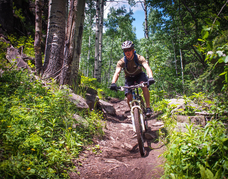 Star Wars aspen forest downhill.