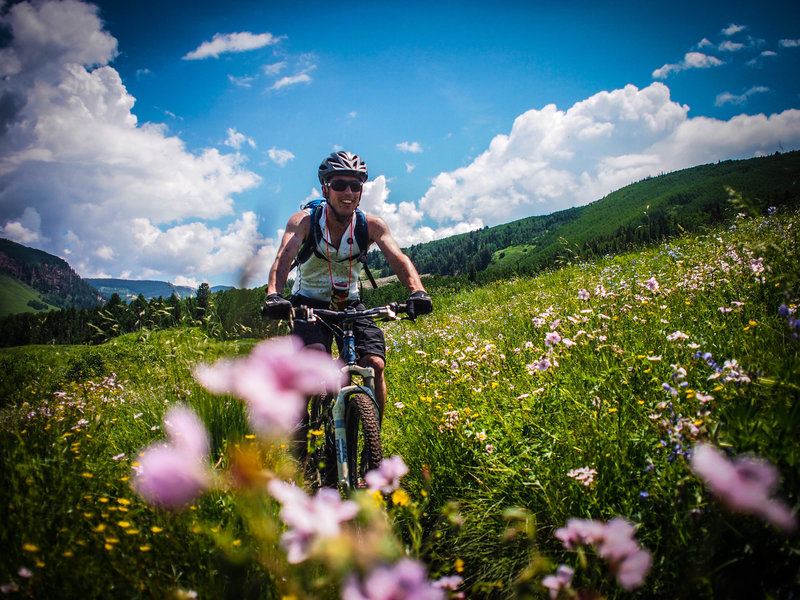 Wildflowers...are you kidding me!