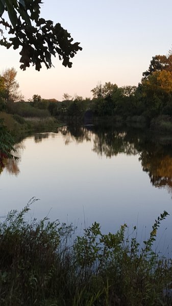 Upstream view of the Flat River