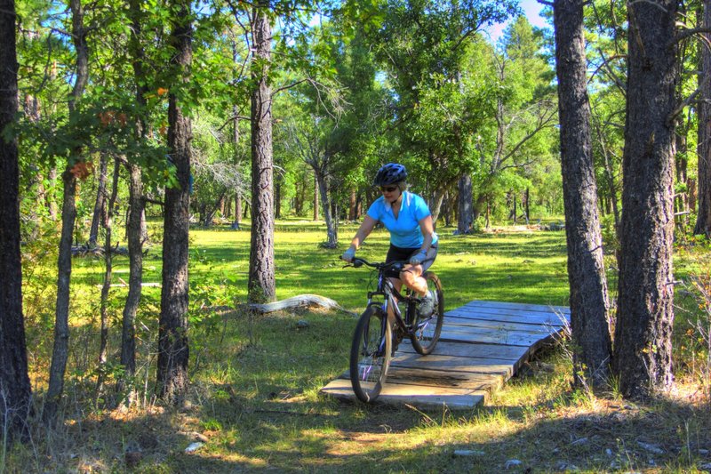 Green oasis along the trail