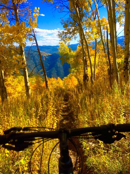 One of the many great spots for views, and one of the few good spots of trail.