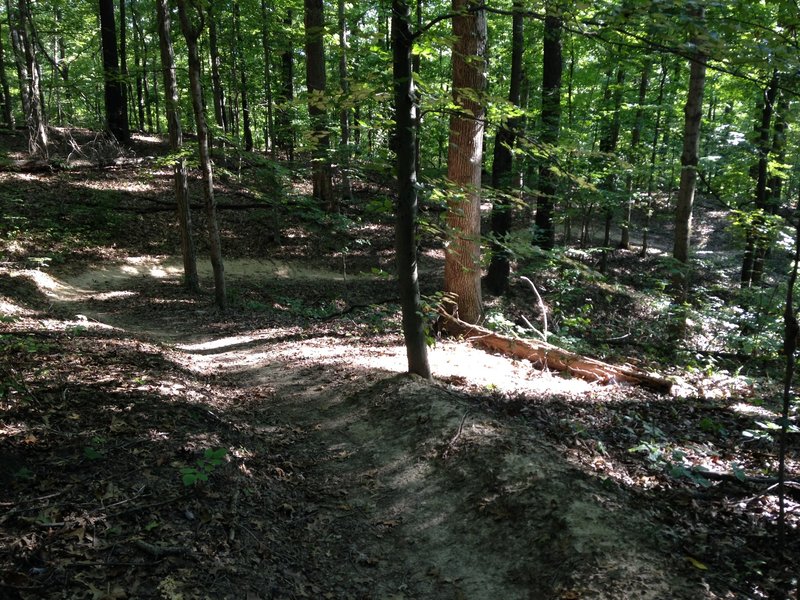 Flowing section of the black trail when riding it in the counter clockwise direction.