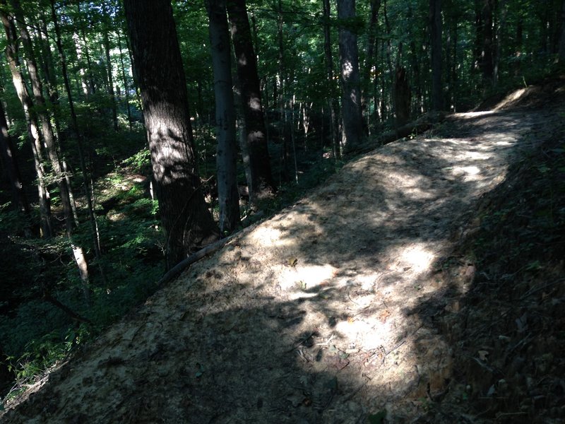 If taking the black trail section in the clockwise direction, this section has good flow to it with some berms to help keep you from rolling down the side of the hill!