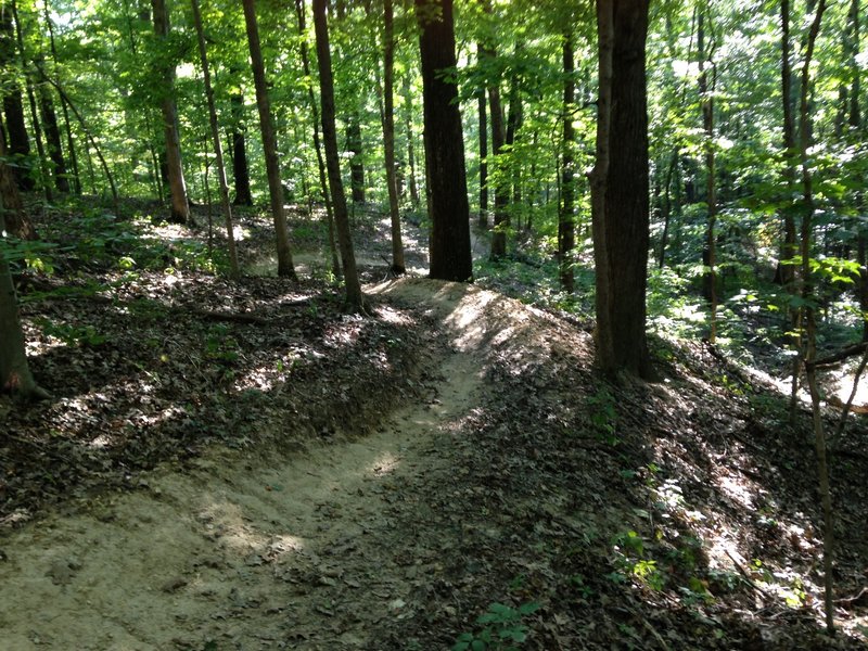 Another picture of the flowing section of the black trail when riding it counter clockwise.