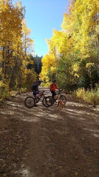 Fall Colors on awesome Indian Summer day!