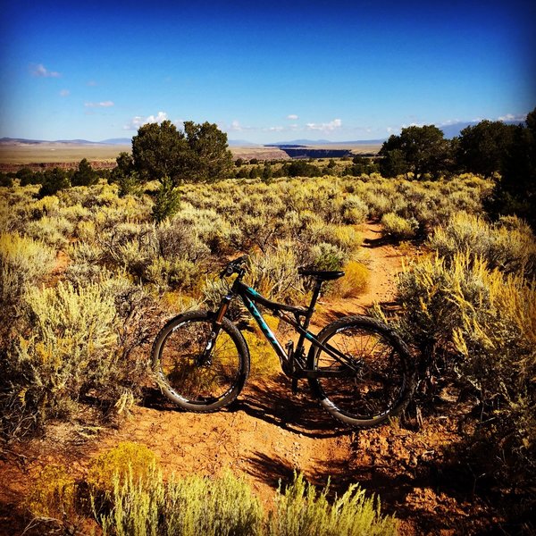 Lovely singletrack with incredible views!