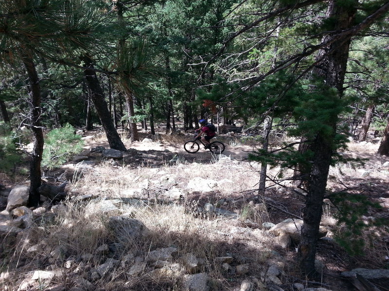 Switchbacks at the Betasso Preserve