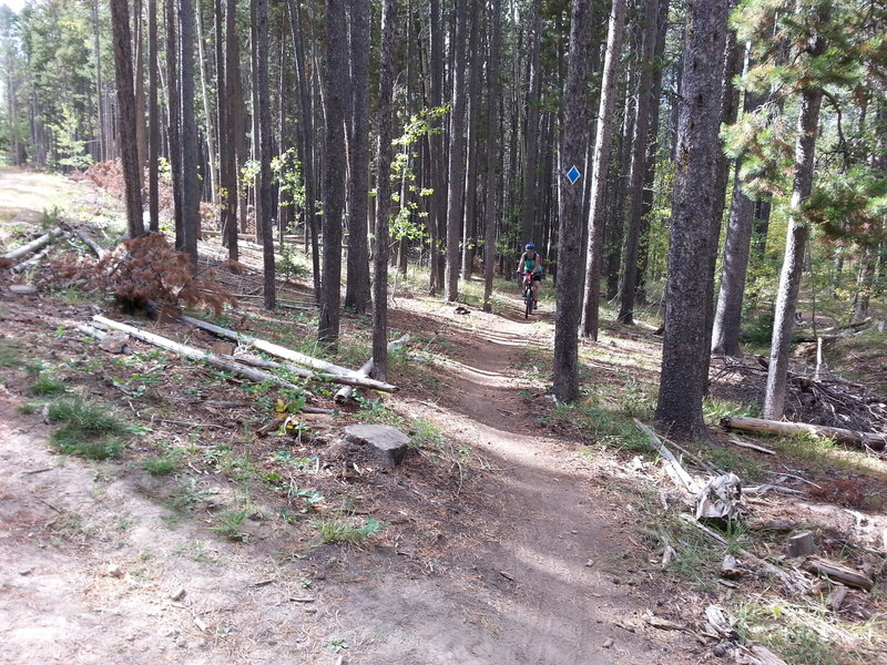 On the climb up at Casper Mountain Park