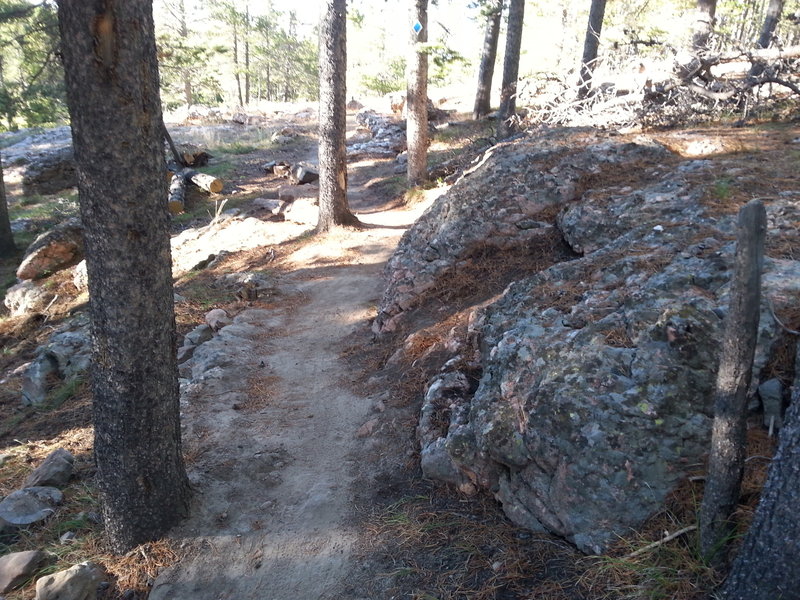 Starting out from the Casper Mountain Trail Center