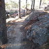 Starting out from the Casper Mountain Trail Center