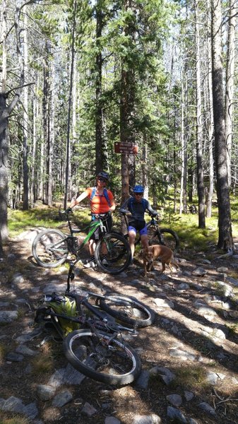 Libby Creek Trail - Lower Trailhead - Junction with Barber Lake Trail