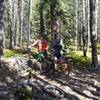 Libby Creek Trail - Lower Trailhead - Junction with Barber Lake Trail