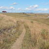 Some of the trail in the open at Harmon Lake