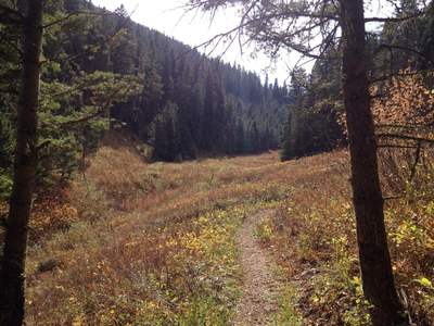 Hope you enjoyed that nice smooth uphill on the Wheeler Gulch trail, because now it's gonna get rough.