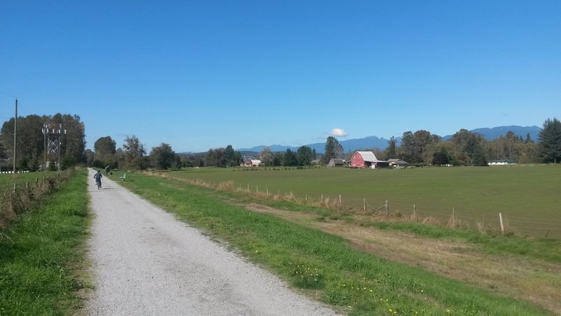 Farms and Mountains as seen from the Pitt River Greenway