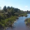 Katzie Slough from the Pitt River Greenway