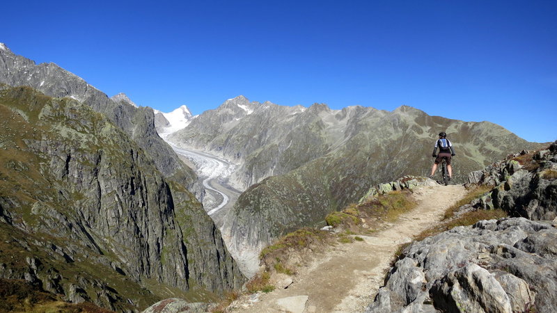 View of the Fiescherglacier (Wallis, Switzerland).