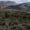 The views south from the top of the Mesquite Trail