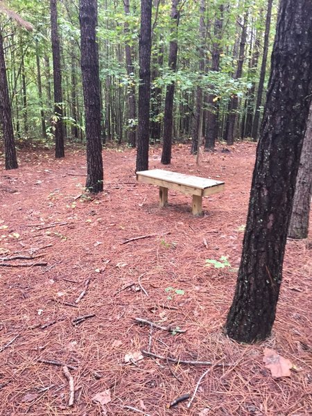 Let's just say young couples seem to like this bench...