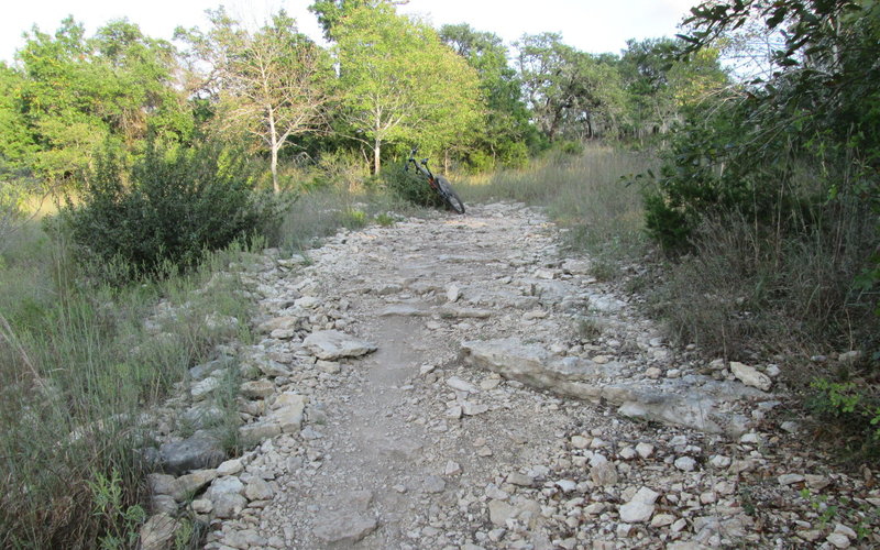 Small rock garden