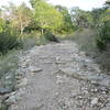 Small rock garden