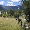 Three quarters of the way up the Gap road. Samaniego Ridge as a backdrop.