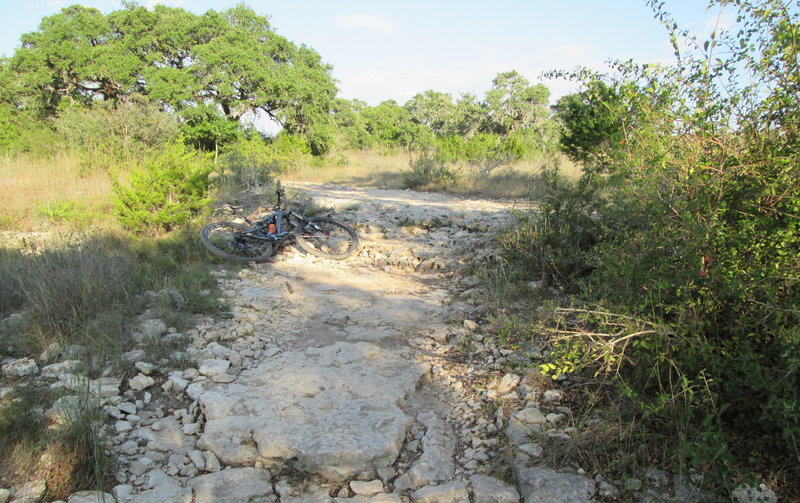 Rock Garden