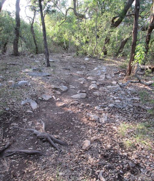 Top of trail rock garden.