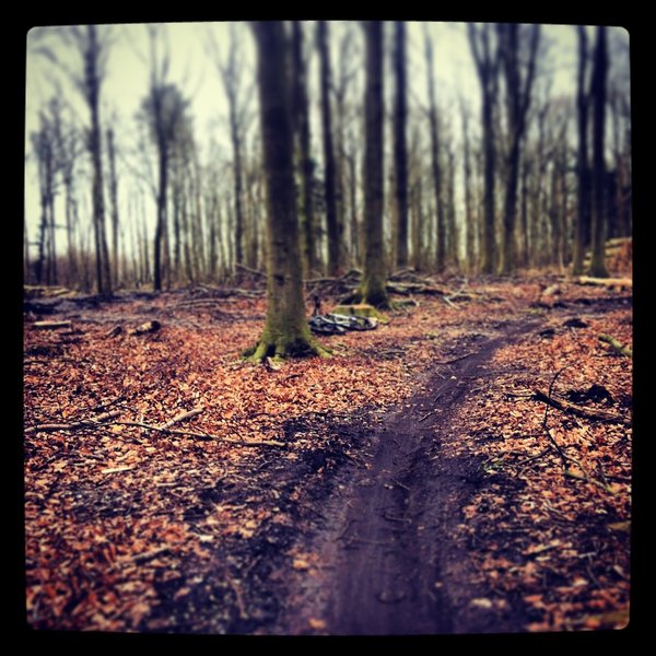 Trail In the northeast corner.