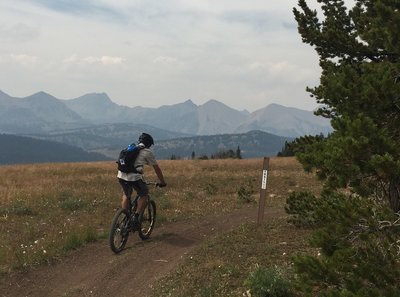 View of the Taylor Hilgard peaks.