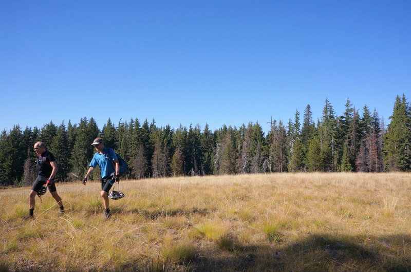 Exploring one of the many open fields along the ridgeline