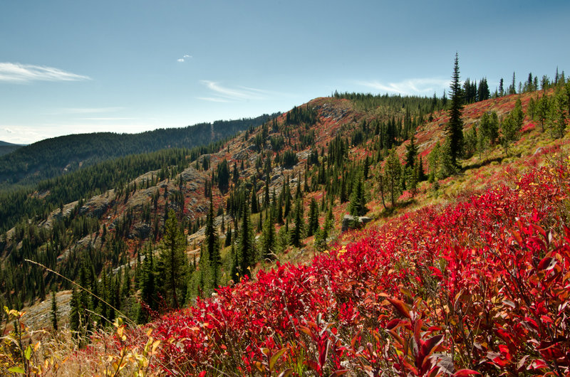 Fall colors on Windy Ridge.